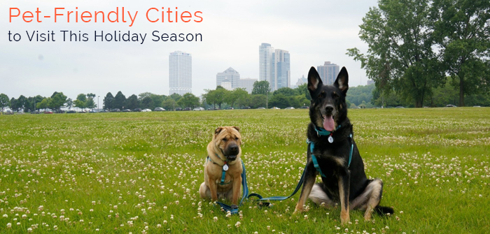 Seven Most Pet-Friendly Cities In US To Visit This Holiday Season